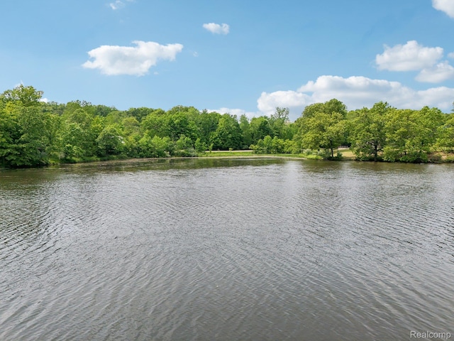 8395 Riverwalk Dr, Fenton, MI 48430 - photo 2