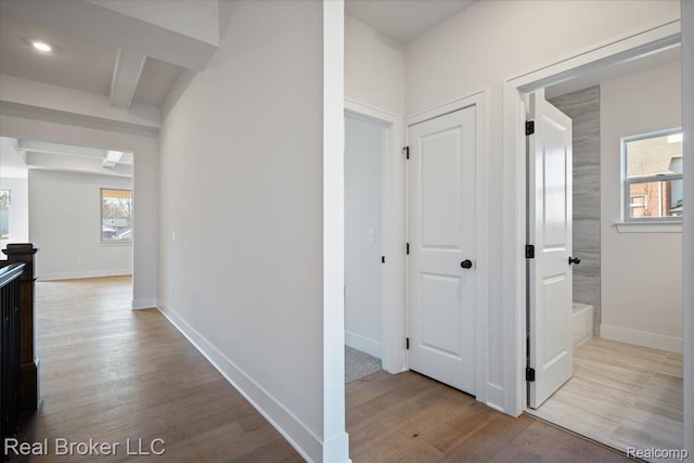 35704 Addison Dr, New Baltimore, MI 48047 - hall featuring wood finished floors, baseboards, and beam ceiling