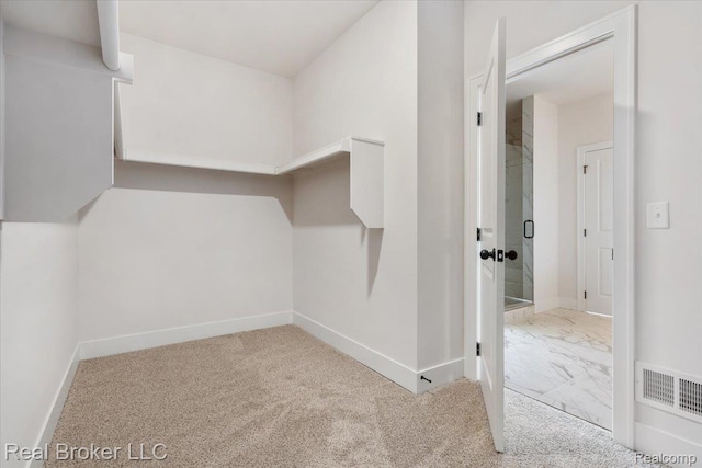 35704 Addison Dr, New Baltimore, MI 48047 - additional living space featuring baseboards and carpet flooring