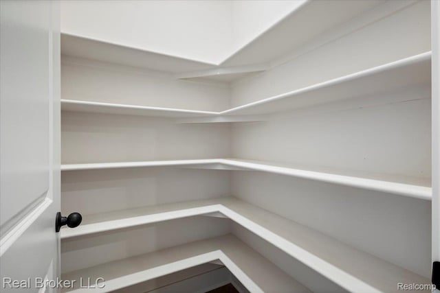 35704 Addison Dr, New Baltimore, MI 48047 - view of storage area