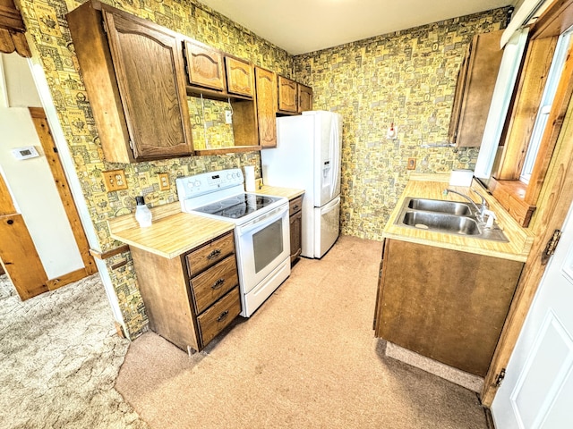 10920 Dwight St, Chippewa Lake, MI 49320 - kitchen featuring white appliances, a sink, light countertops, and light colored carpet