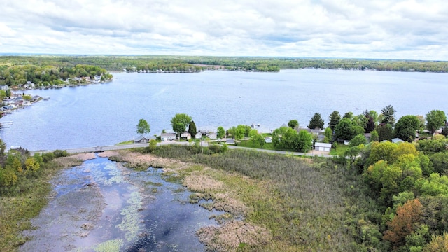 10920 Dwight St, Chippewa Lake, MI 49320 - water view