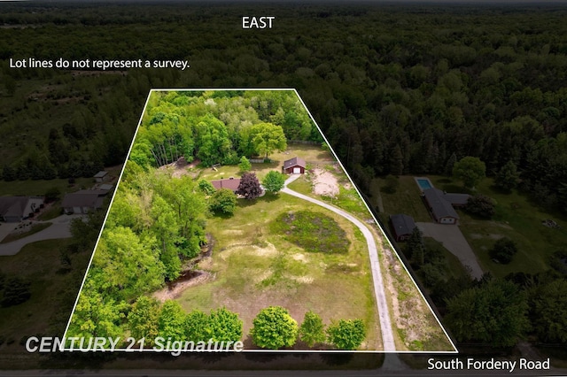 4769 S Fordney Rd, Hemlock, MI 48626 - view of property location with a forest and property boundaries highlighted