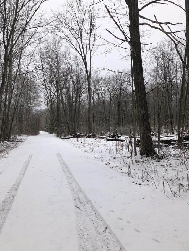 00 Fern St, Hale, MI 48739