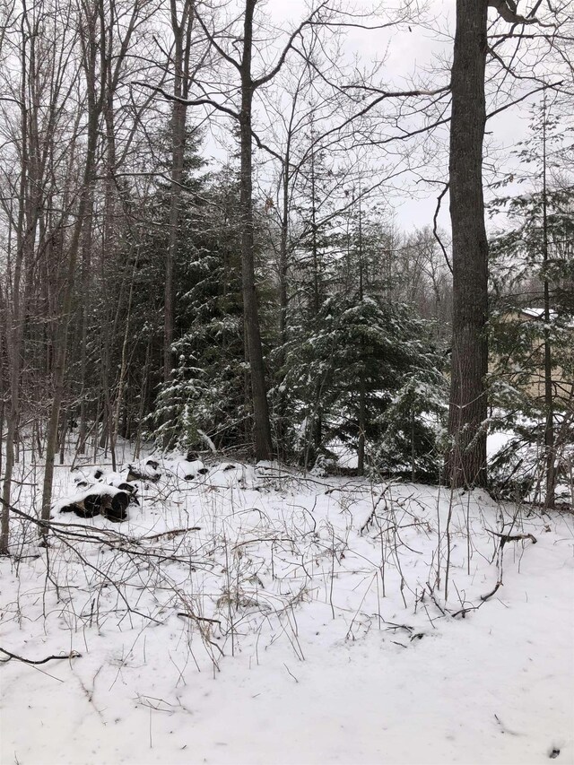 00 Fern St, Hale, MI 48739