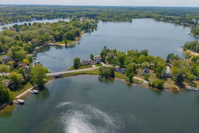 7899 W Royal Rd, Canadian Lakes, MI 49346 - aerial view of a nearby body of water