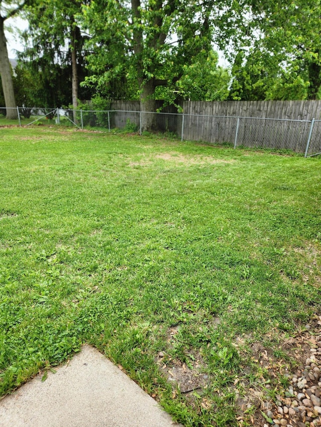 179 W State St, Coldwater, MI 49036 - view of yard