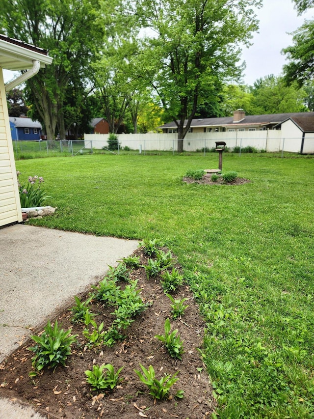 179 W State St, Coldwater, MI 49036 - view of yard