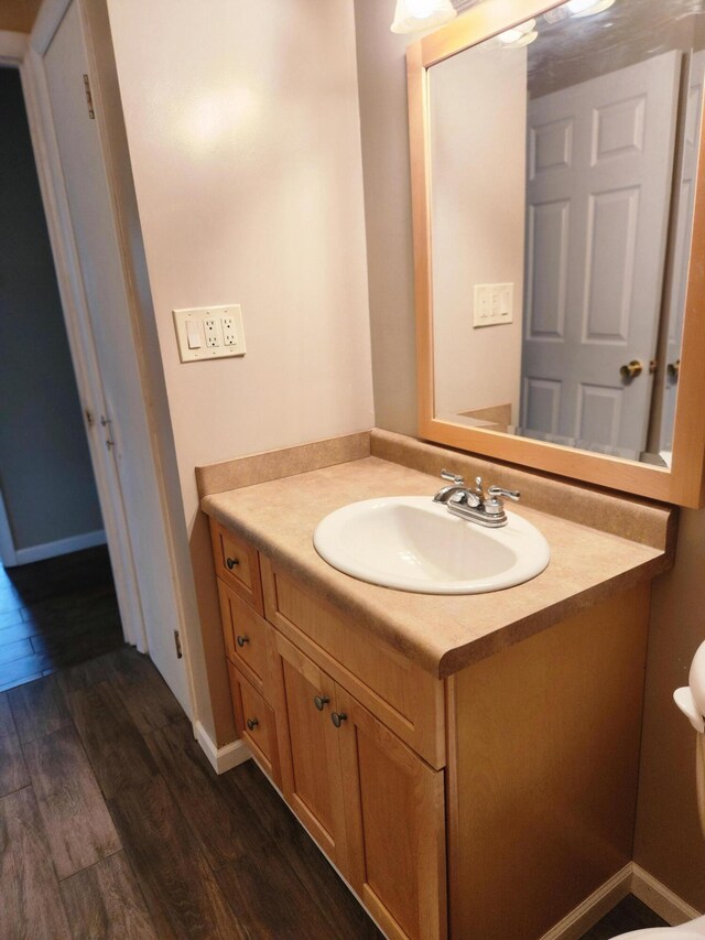 179 W State St, Coldwater, MI 49036 - bathroom featuring vanity and wood finished floors