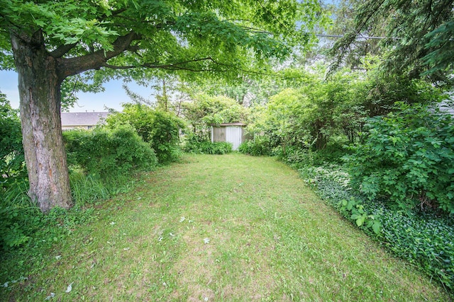 188 Redman Rd, Milan, MI 48160 - view of green lawn