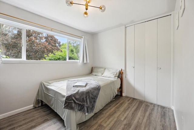 2419 Faye Dr, Ann Arbor, MI 48103 - bedroom featuring wood finished floors and a closet