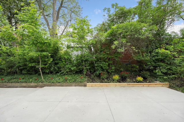 2419 Faye Dr, Ann Arbor, MI 48103 - view of patio