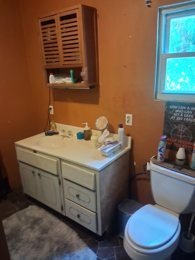 1175 Hammond Rd, Hastings, MI 49058 - bathroom with vanity and toilet