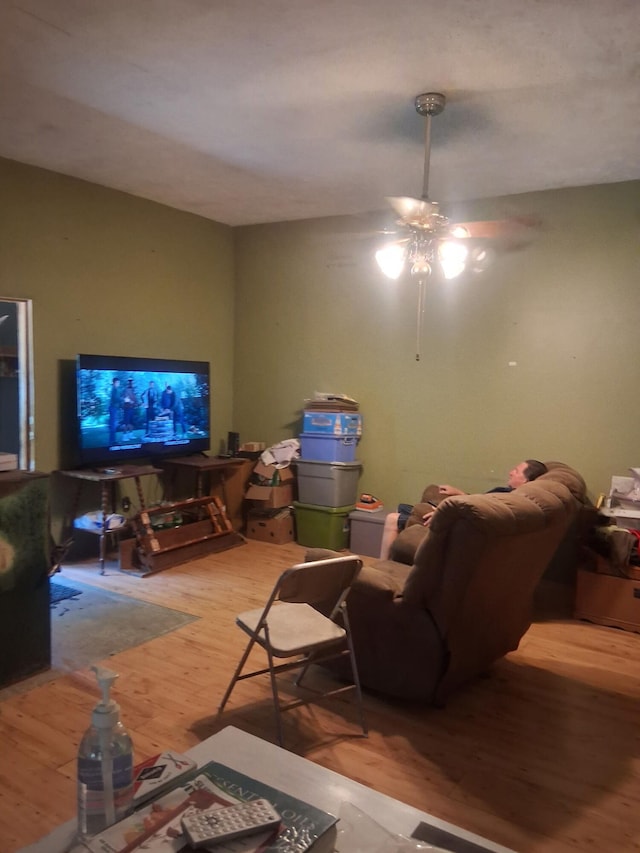 1175 Hammond Rd, Hastings, MI 49058 - living area with wood finished floors and a ceiling fan