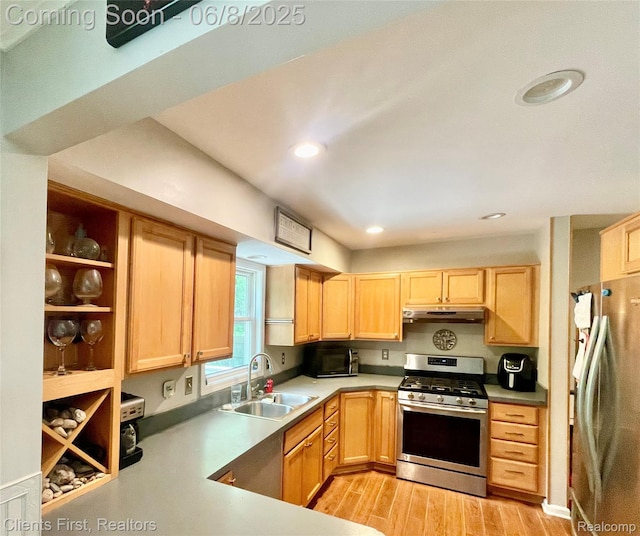 5844 Crandall Rd, Howell, MI 48855 - kitchen with stainless steel appliances, under cabinet range hood, a sink, light brown cabinets, and recessed lighting
