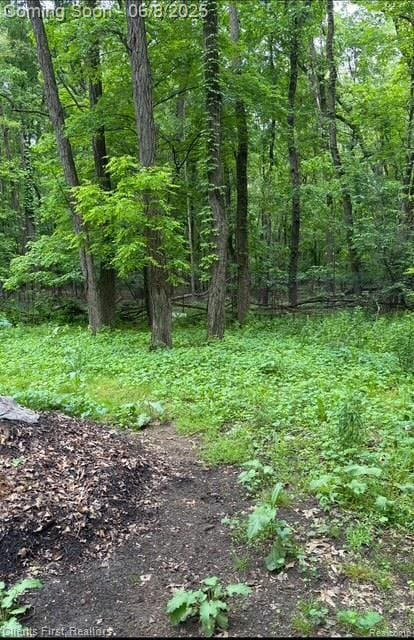 5844 Crandall Rd, Howell, MI 48855 - view of wooded area