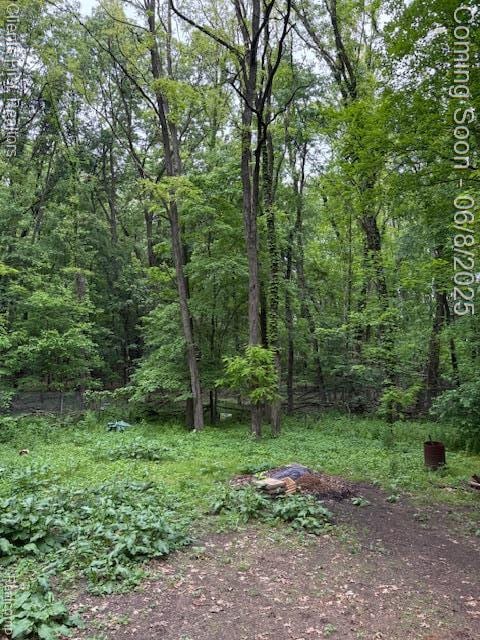 5844 Crandall Rd, Howell, MI 48855 - view of tree filled area
