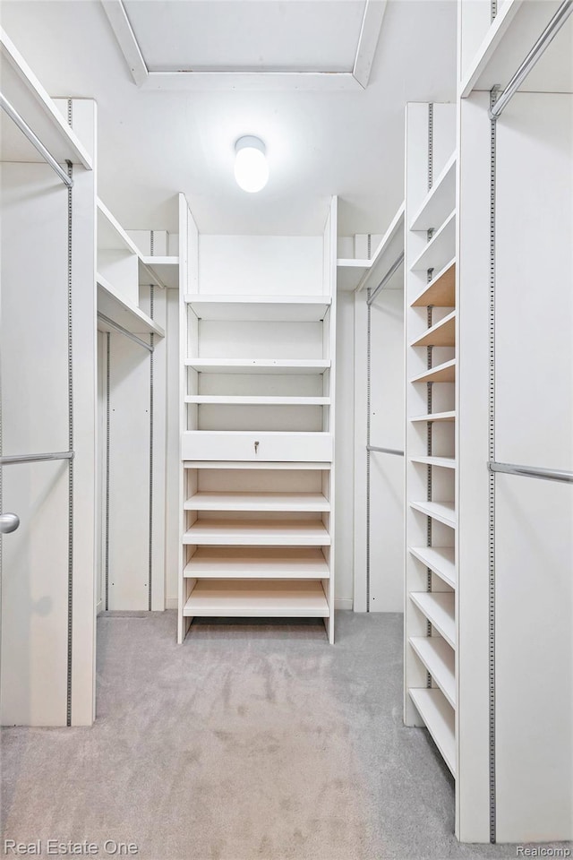 5299 Pond Bluff Dr, West Bloomfield, MI 48323 - spacious closet with carpet