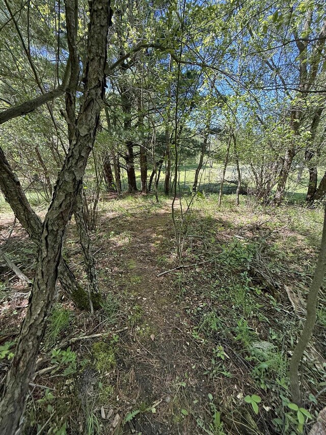5867 Mabel Rd, Williamsburg, MI 49690 - photo 14