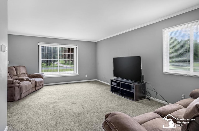 177 W Willis Rd, Saline, MI 48176 - living area featuring crown molding, carpet flooring, and baseboards