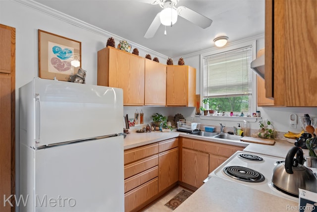 634 E Lewiston Ave, Ferndale, MI 48220 - kitchen featuring white appliances, crown molding, light countertops, a sink, and a ceiling fan