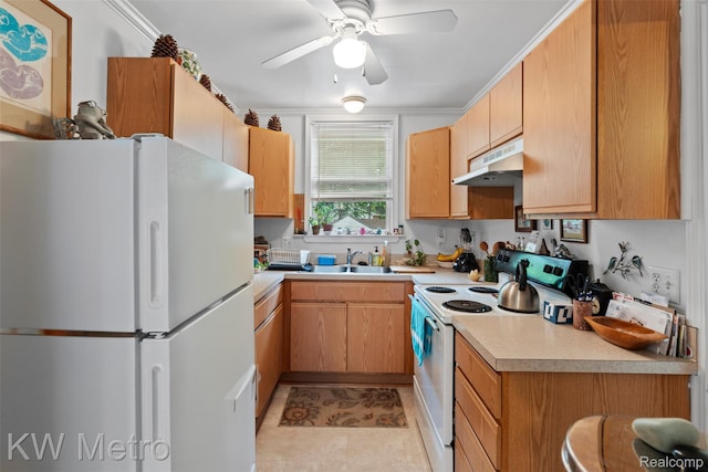 634 E Lewiston Ave, Ferndale, MI 48220 - kitchen featuring white appliances, under cabinet range hood, a sink, light countertops, and ceiling fan