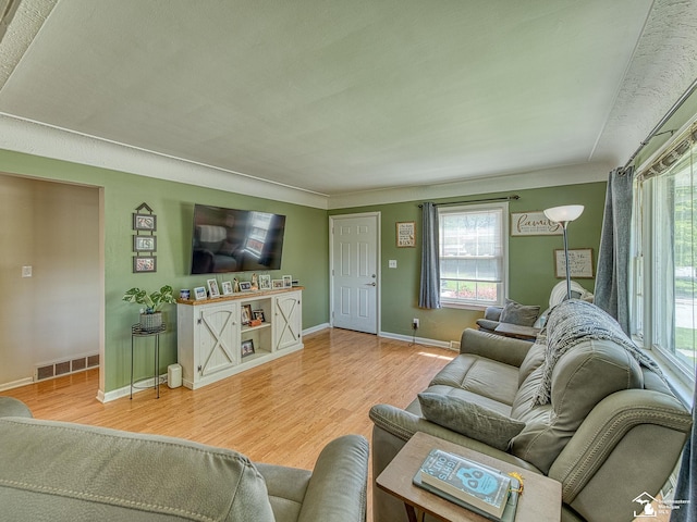 424 W 4th St, Monroe, MI 48161 - living area featuring wood finished floors, healthy amount of natural light, and baseboards