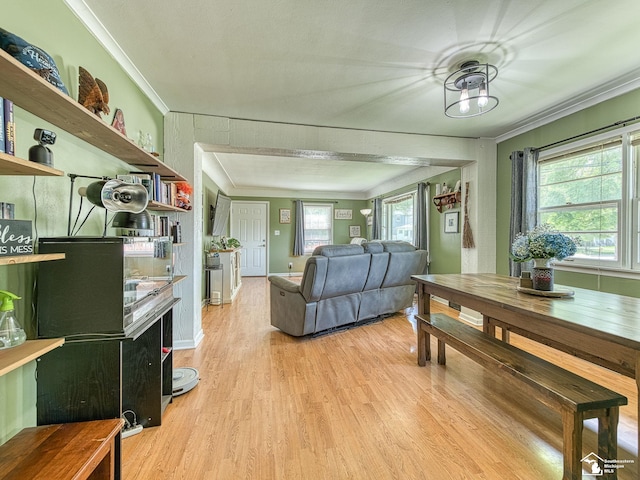 424 W 4th St, Monroe, MI 48161 - living area featuring crown molding, light wood-style flooring, healthy amount of natural light, and baseboards
