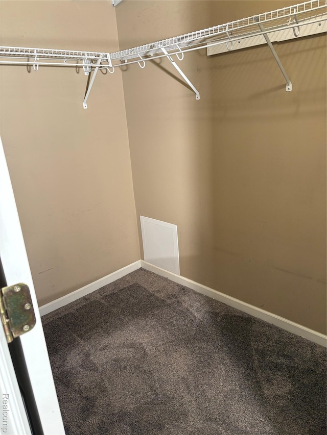 56645 Long Island Dr, Shelby Twp, MI 48316 - walk in closet featuring carpet floors