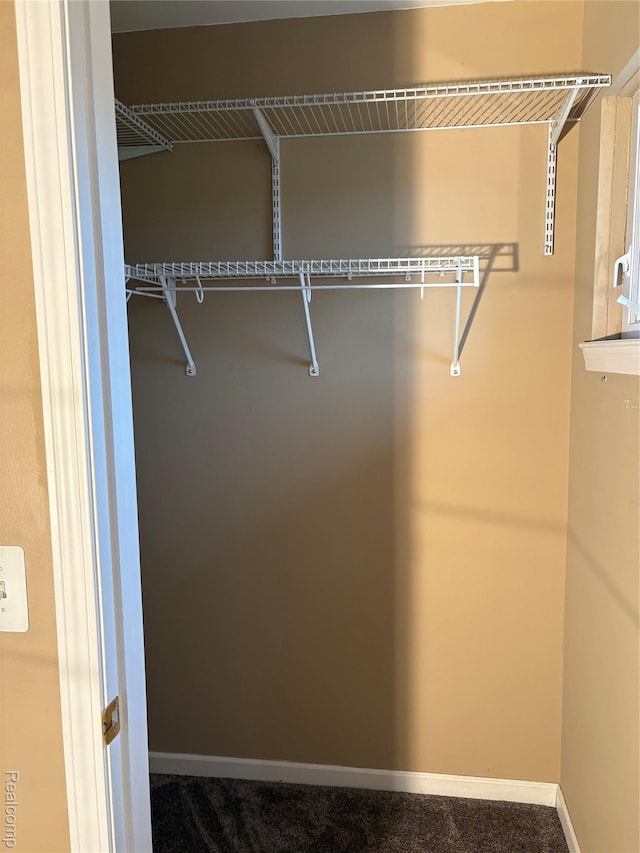 56645 Long Island Dr, Shelby Twp, MI 48316 - spacious closet with carpet
