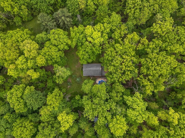 2100 Delhi W, Ann Arbor, MI 48103 - aerial view of property and surrounding area