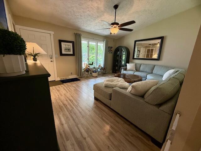 307 W 30th St, Holland, MI 49423 - living area featuring a textured ceiling, light wood finished floors, ceiling fan, baseboards, and vaulted ceiling