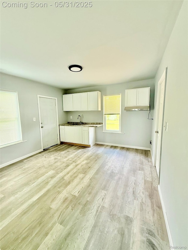3648 Mack Ave, Hamtramck, MI 48207 - unfurnished living room with baseboards, light wood-style flooring, and a sink