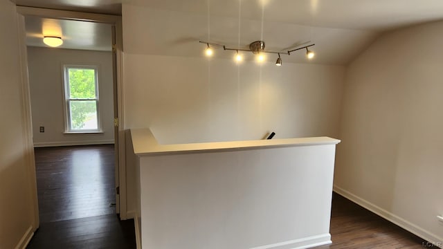 810 Division St, Adrian, MI 49221 - hall featuring dark wood finished floors, an upstairs landing, rail lighting, baseboards, and lofted ceiling