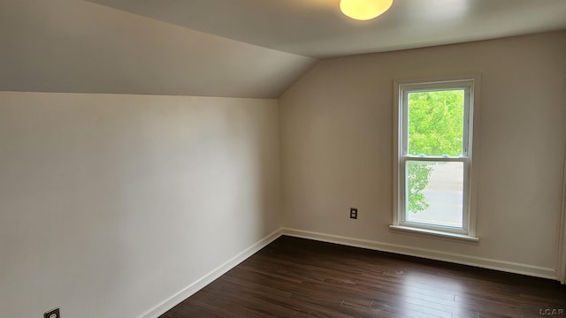 810 Division St, Adrian, MI 49221 - bonus room featuring lofted ceiling, dark wood-style floors, and baseboards