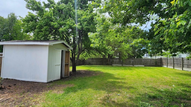 810 Division St, Adrian, MI 49221 - view of yard