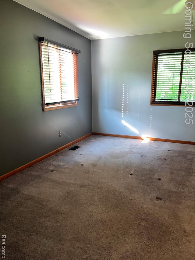 1379 Walter S Hall Dr, Lake Orion, MI 48362 - unfurnished room featuring plenty of natural light, carpet floors, and baseboards