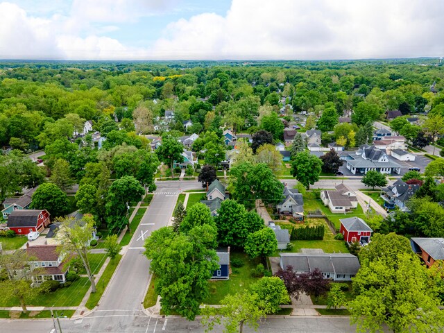 115 Mckinley St, Chelsea, MI 48118 - photo 39