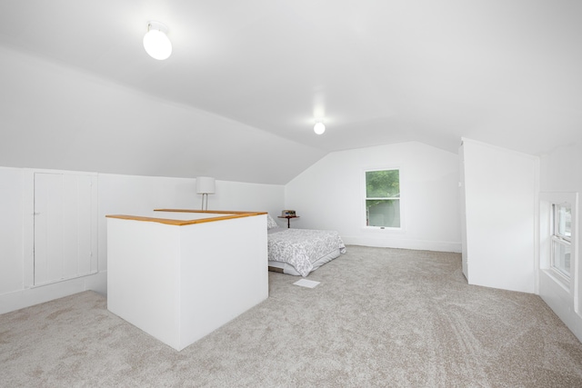 115 Mckinley St, Chelsea, MI 48118 - photo 27