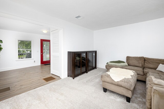 115 Mckinley St, Chelsea, MI 48118 - photo 10
