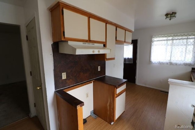 2910 Meisner Ave, Flint, MI 48506 - kitchen with under cabinet range hood, wood finished floors, dark countertops, and baseboards