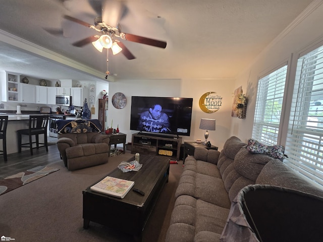4101 S Sheridan Rd, Lennon, MI 48449 - living room with a ceiling fan and ornamental molding