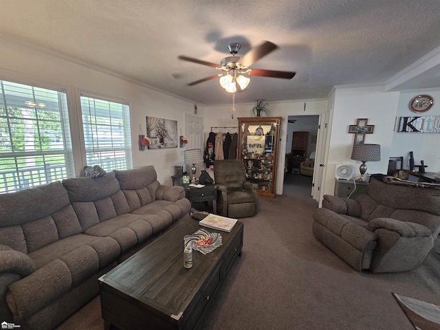 4101 S Sheridan Rd, Lennon, MI 48449 - carpeted living room featuring ornamental molding and ceiling fan