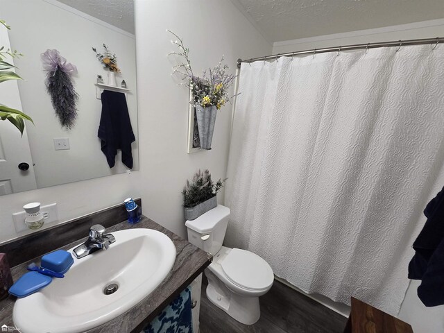 4101 S Sheridan Rd, Lennon, MI 48449 - bathroom with wood finished floors, vanity, a textured ceiling, and a shower with shower curtain