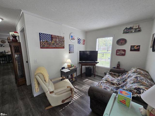4101 S Sheridan Rd, Lennon, MI 48449 - living area with crown molding, a textured ceiling, and wood finished floors