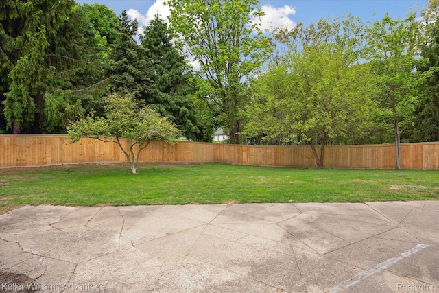 58540 Grand River Ave, New Hudson, MI 48165 - view of yard featuring a patio