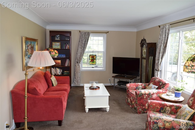 7448 Miller Rd, Swartz Creek, MI 48473 - living room featuring carpet flooring and baseboards