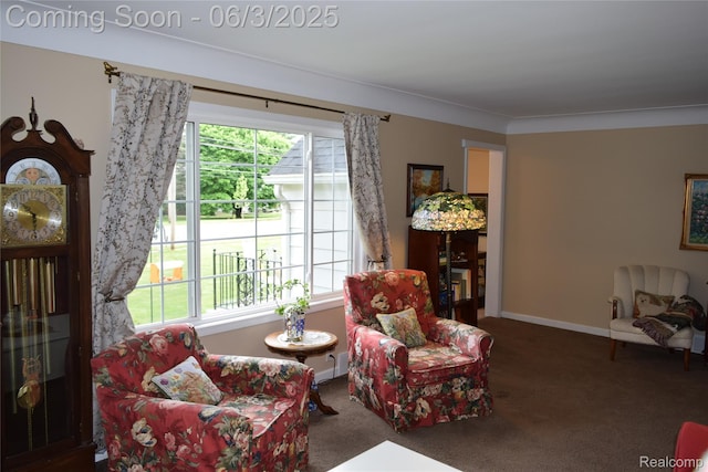 7448 Miller Rd, Swartz Creek, MI 48473 - sitting room with carpet floors and baseboards