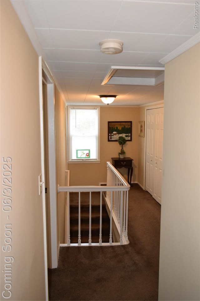 7448 Miller Rd, Swartz Creek, MI 48473 - hallway with carpet flooring