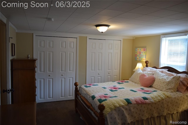 7448 Miller Rd, Swartz Creek, MI 48473 - bedroom with multiple closets, crown molding, and dark carpet
